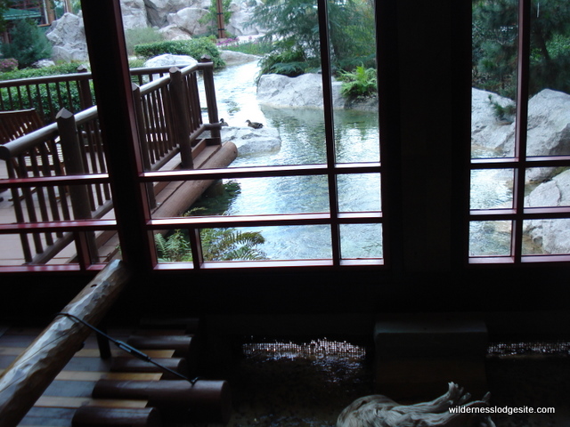 Spring in Lobby Flowing to Creek